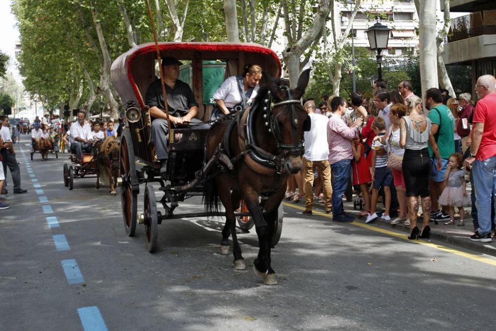 Día del Caballo en Alfonso X