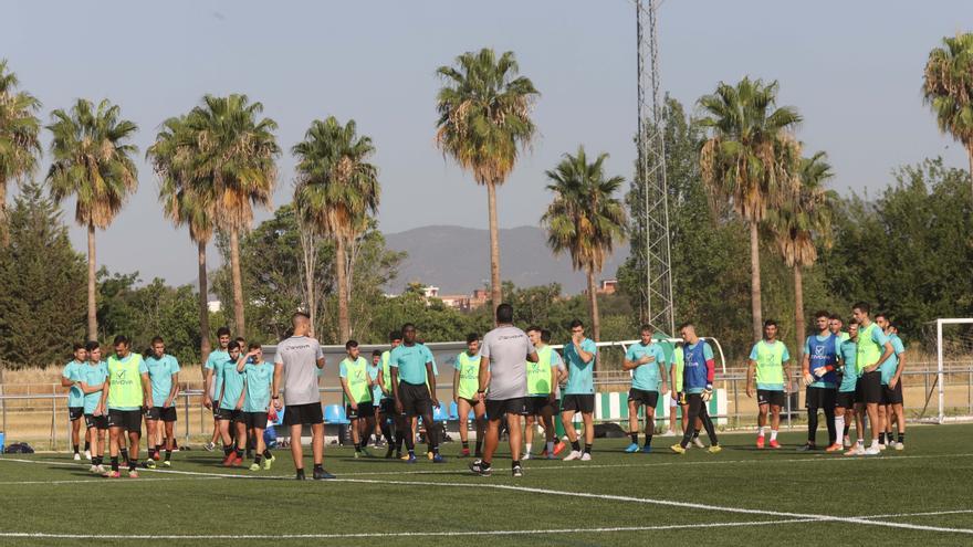 El Córdoba CF se pone a prueba sobre el césped artificial