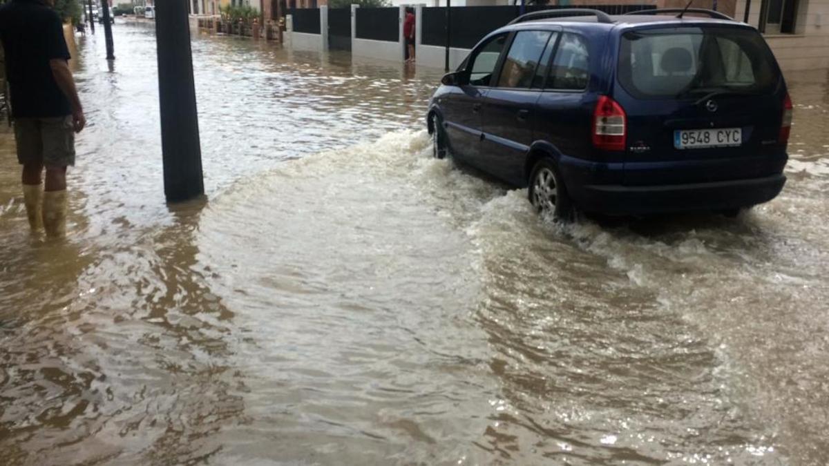 Gota fría en la Vega Baja: Los agricultores cifran en 550 millones las pérdidas en el campo de la provincia de Alicante