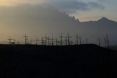 Les mirades més artístiques al Bosc de les creus