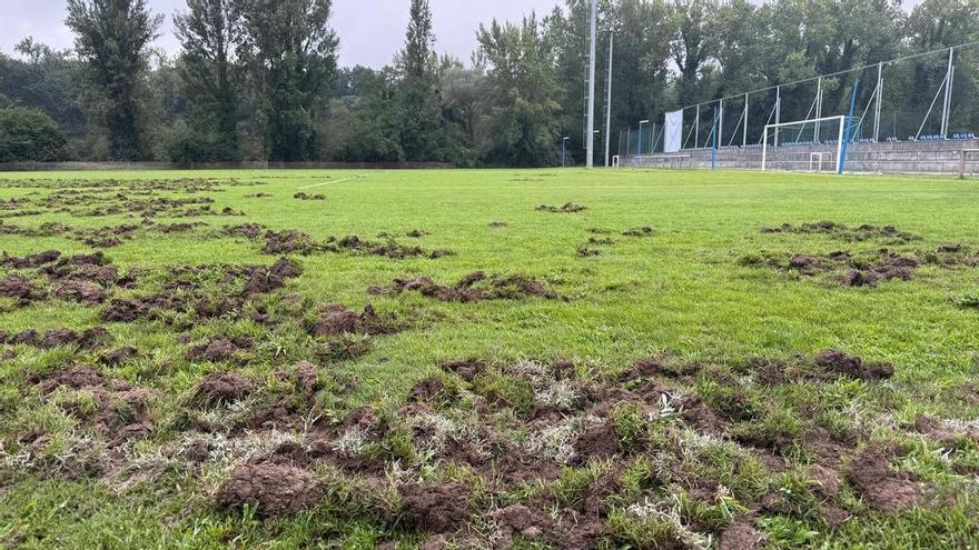 Los jabalíes vuelven a cebarse con El Requexón: nuevo destrozo a más campos de la ciudad deportiva
