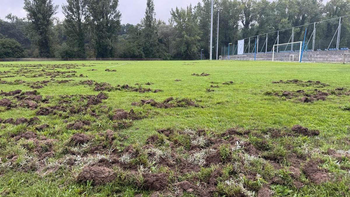 El estado del césped del campo número 5 de El Requexón esta mañana