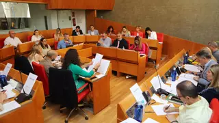 Lorca reclama modificar la Zona de Bajas Emisiones para evitar generar una "trampa al tráfico"