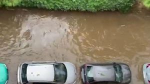 La pluja torrencial provoca riuades en diversos municipis
