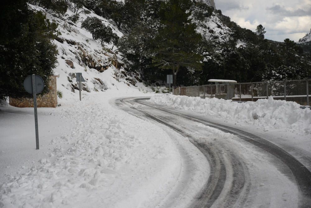 Der frühe Schnee hat am Samstag (2.12.) zahlreiche Insulaner in die Tramuntana gelockt, wo es die seltene Gelegenheit zu Schneeballschlachten oder zum Bau von Schneemännern gab.