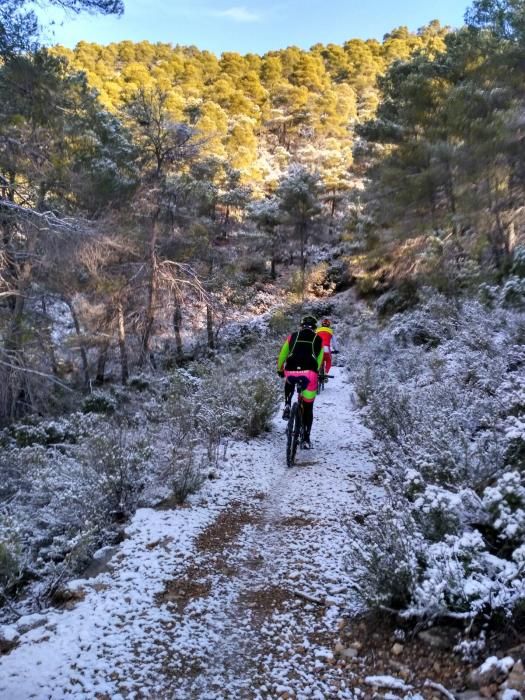 Nieve en La Carrasca, en Sierra Espuña