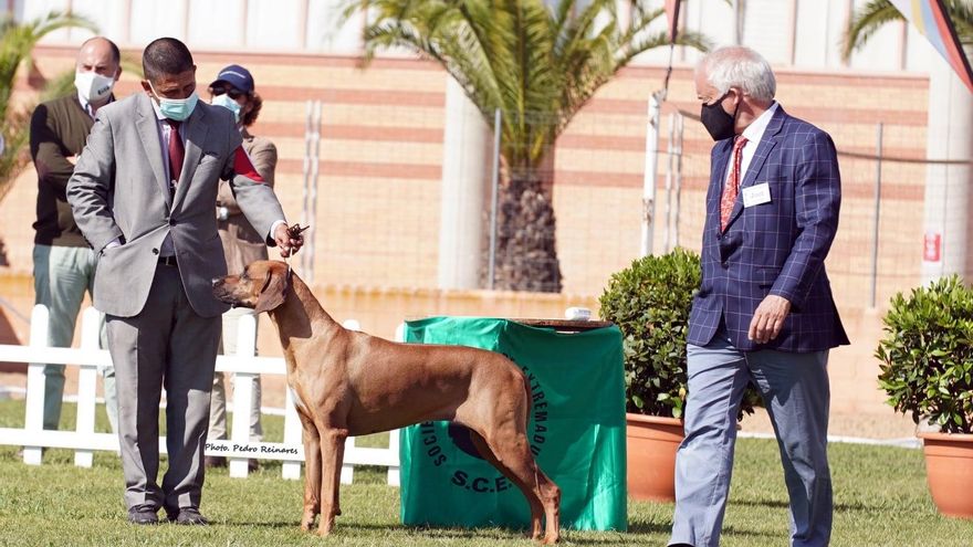 El día 12 se celebrará el primer concurso canino