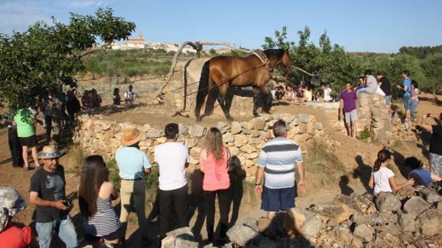 Vilanova reivindica el papel de la agricultura tradicional en la VI Fira del Cavall