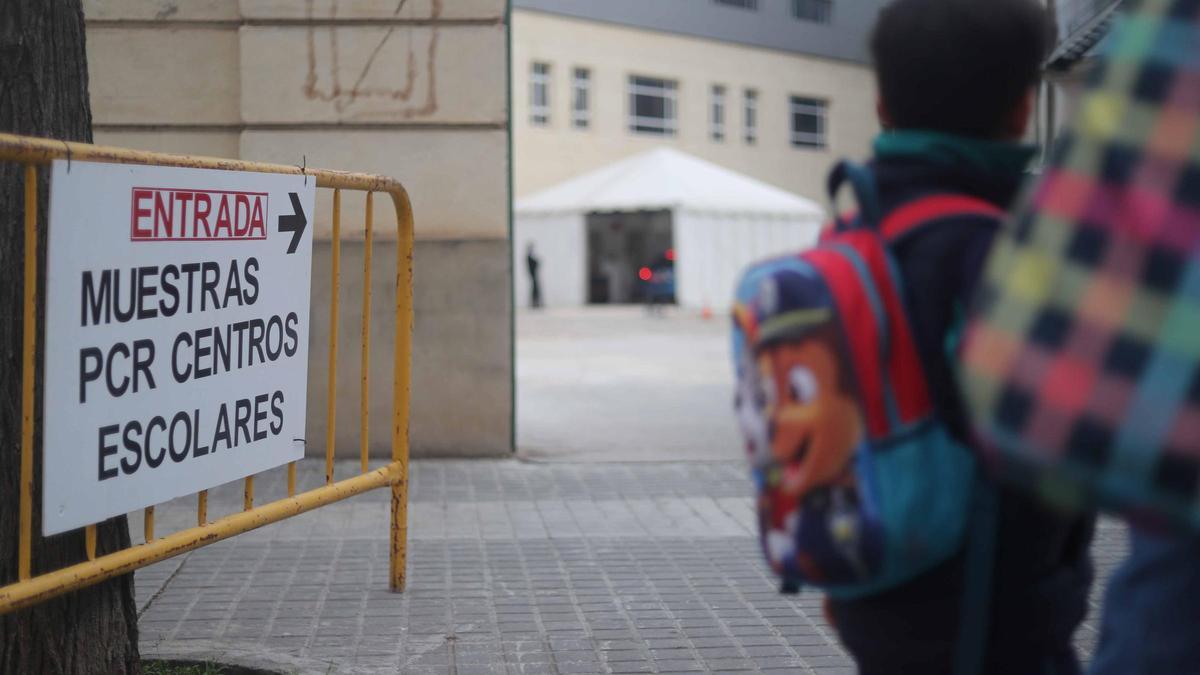 Covid colegios muestras València