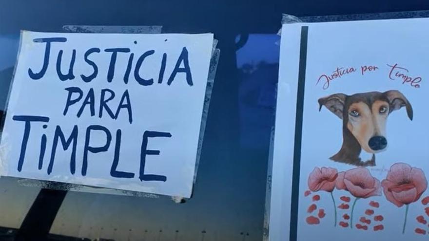 Una caravana de vehículos recorre Arrecife pidiendo justicia para "Timple"