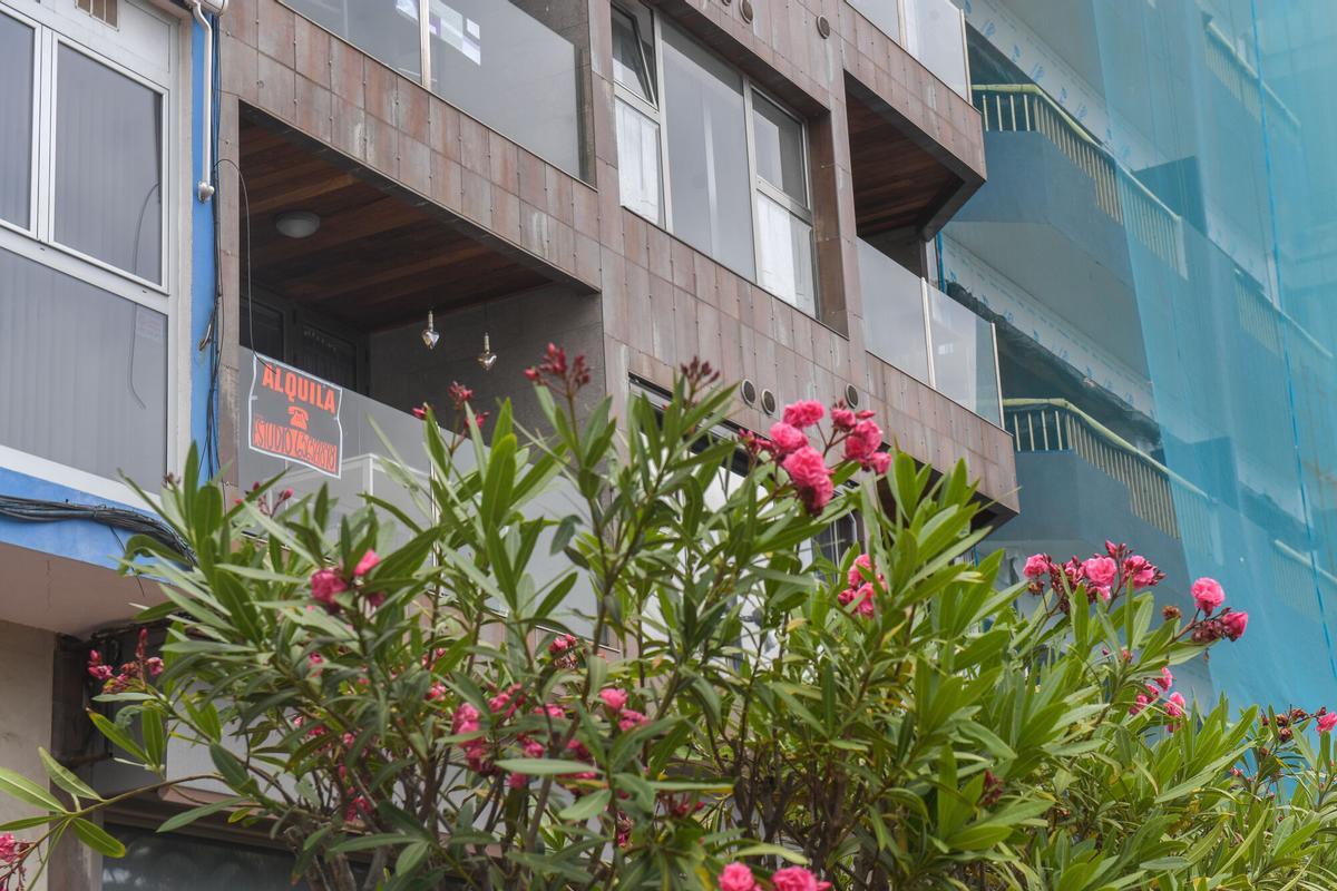 Cartel de una vivienda en alquiler en Las Palmas de Gran Canaria.