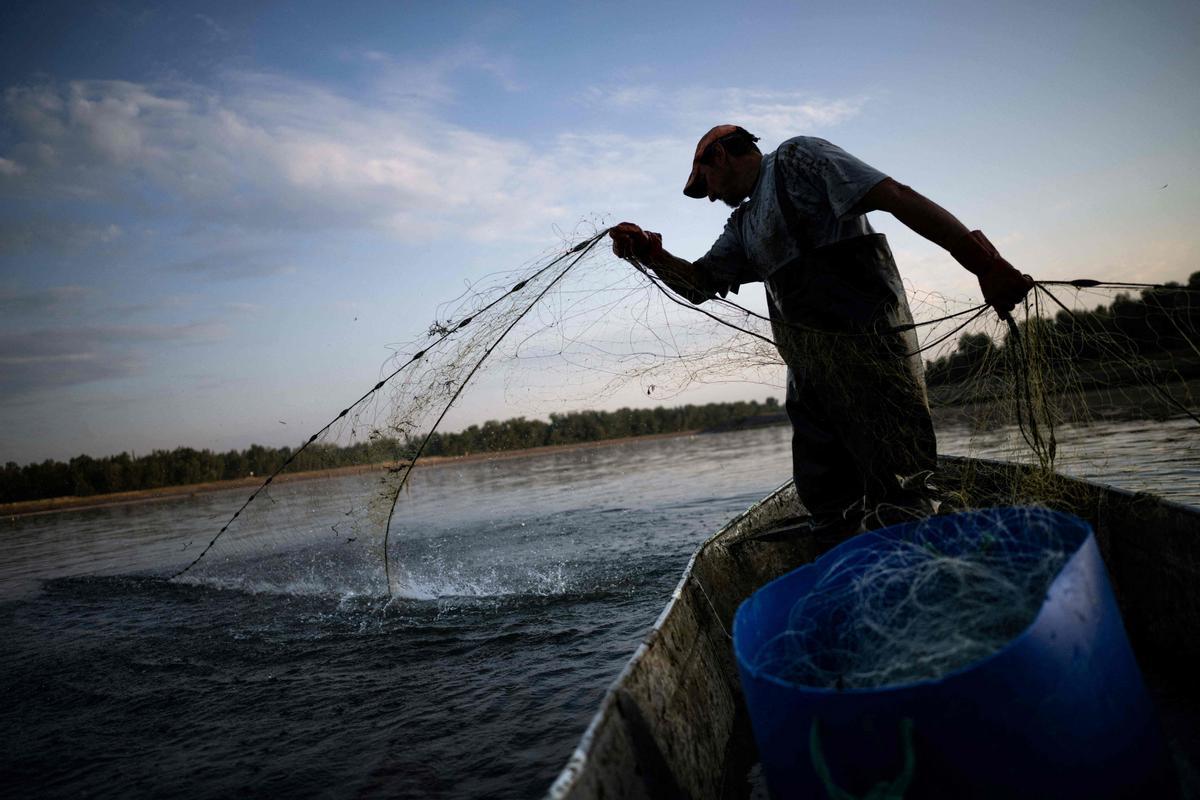 Jeremy Fuchs, el único pescador profesional del río Rin