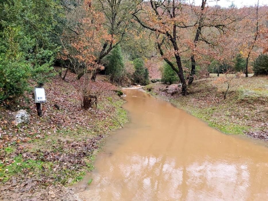 L'aigua a les Coves del Toll