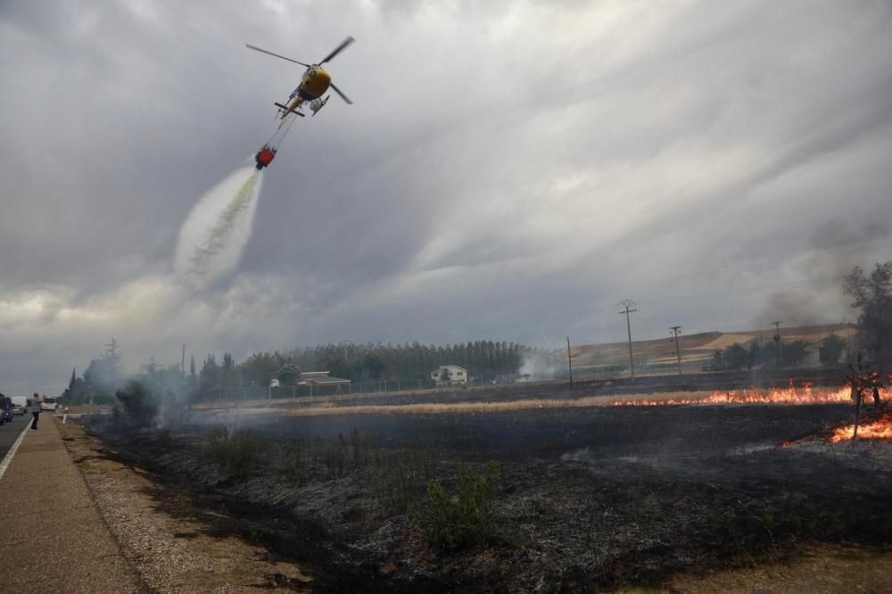 El incendio en el polígono industrial Campo de aviación de Coreses, en imágenes