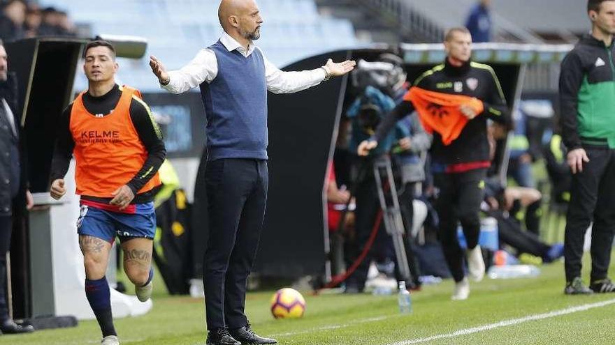 Miguel Cardoso, en un partido en Balaídos. // Ricardo Grobas