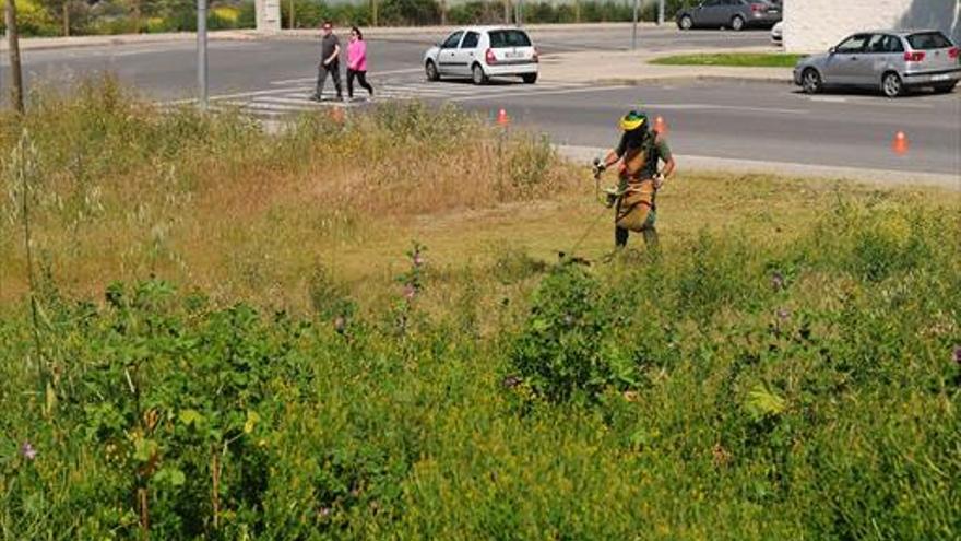 El Ayuntamiento de Plasencia inicia el proceso para contratar a 82 desempleados