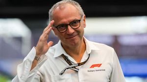 Stefano Domenicali