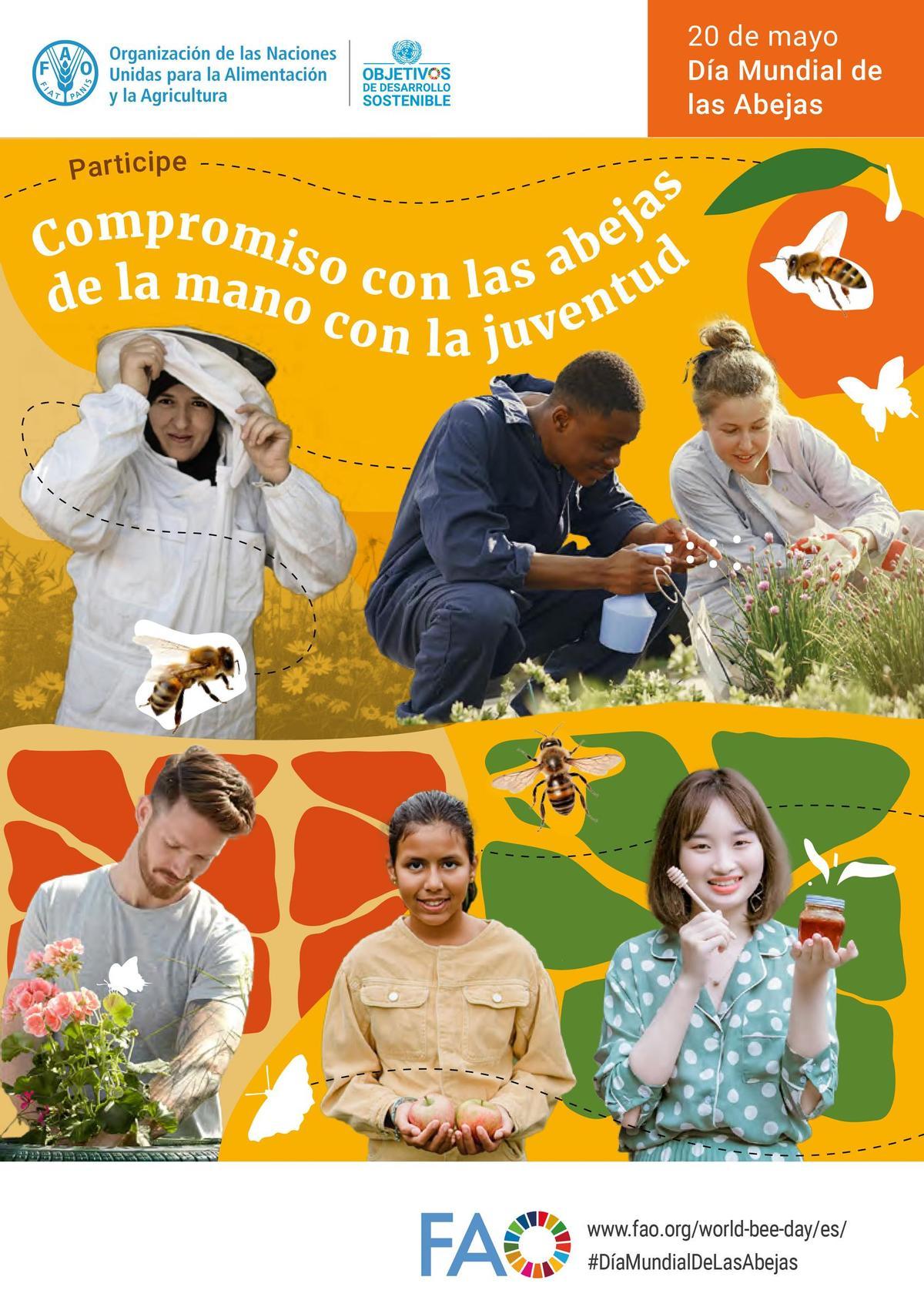 Día Mundial de las abejas 2024... &quot;de la mano de la juventud&quot;