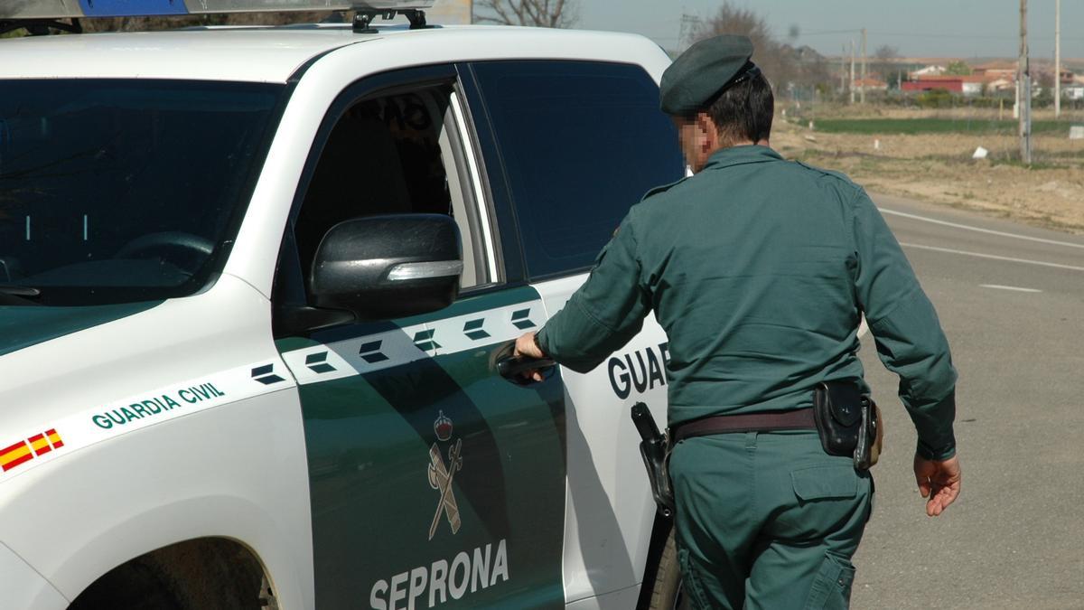 Guardia Civil de Zamora.