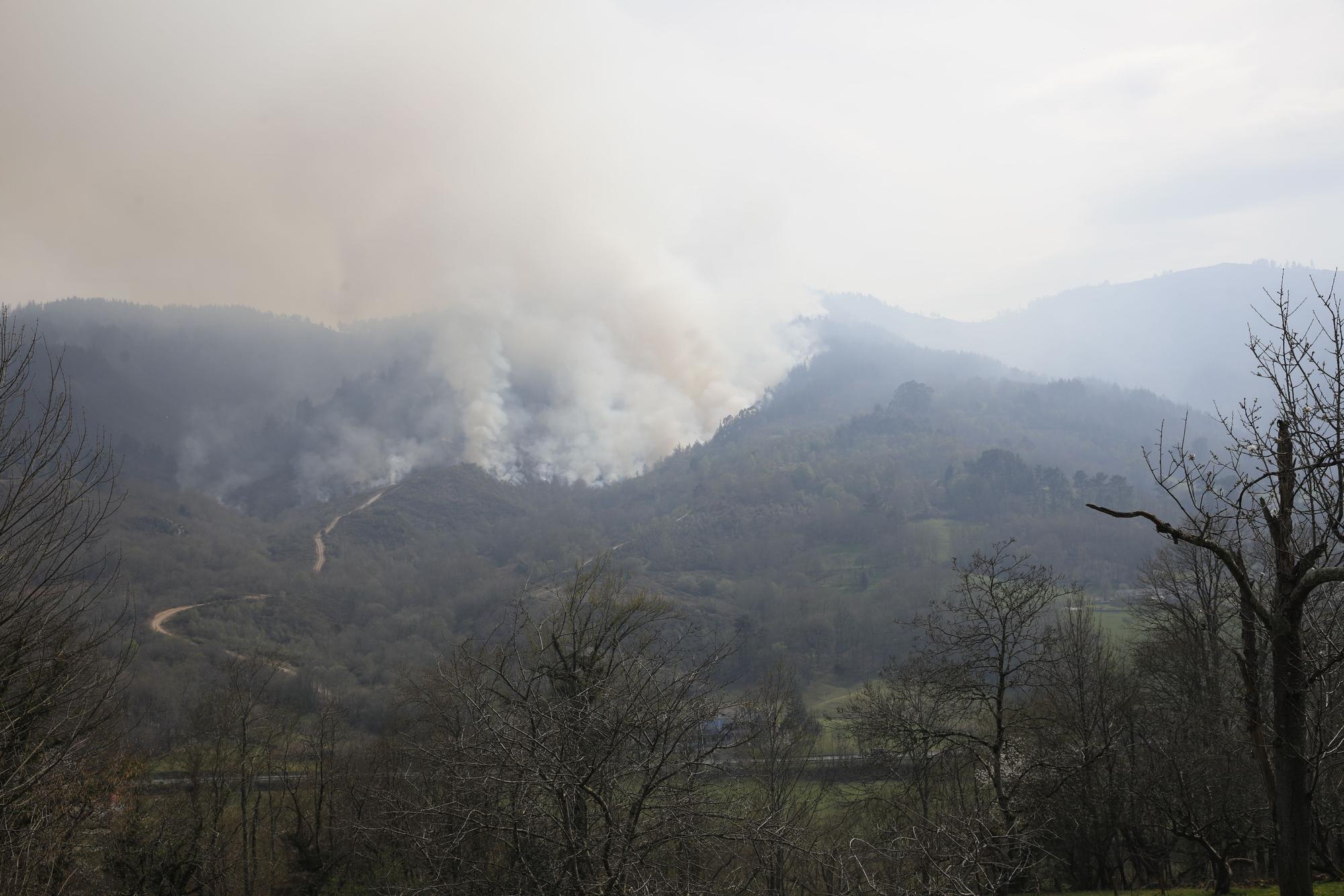 Incendio en la zona de Carancos