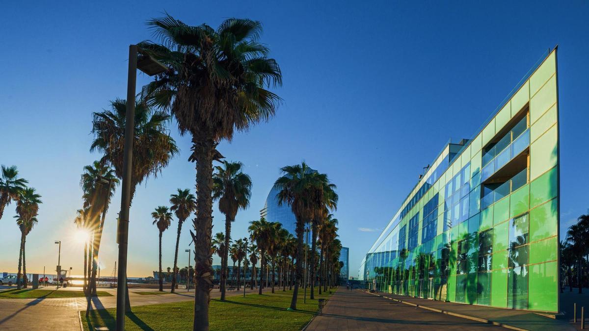Norrsken pisa el acelerador en Barcelona tras hacerse con 1.500 miembros y seis startups participadas