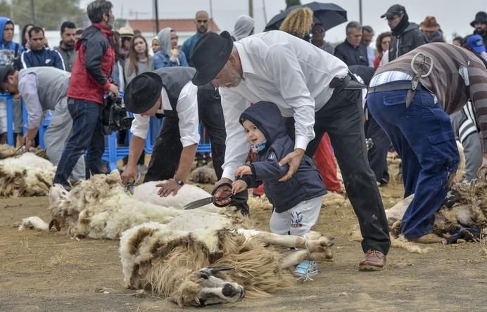CAIDERO DE GÁLDAR A 30/05/2017. Día de Canarias en Caidero de Gáldar, Fiesta de la lana. FOTO: J.PÉREZ CURBELO