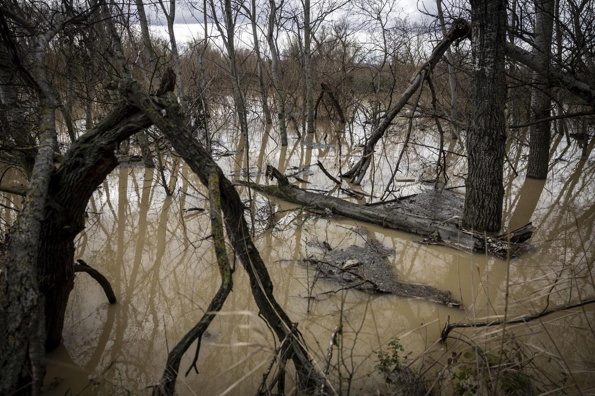 Imagen de la zona de la urbanización de Torre Urzáiz desalojada por la crecida del Ebro.