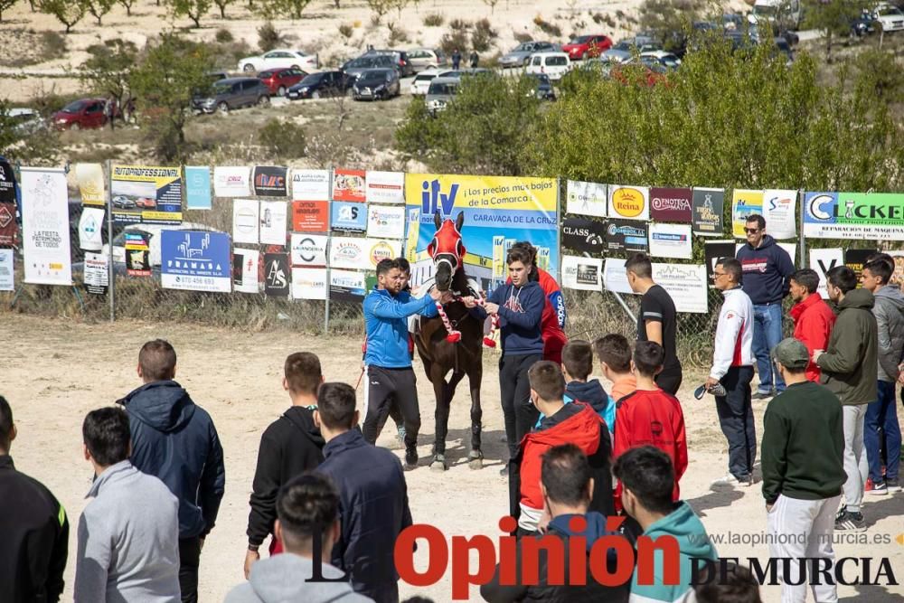 Carrera de entrenamiento de los Caballos del Vino