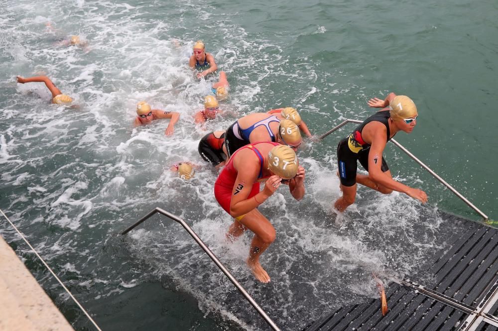 Valencia Triatlón