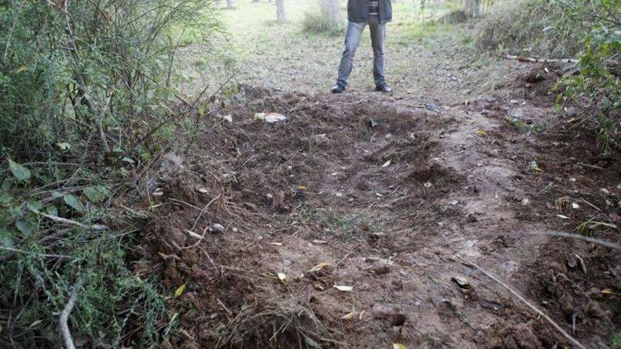 Dos agricultores hallan en Cadrete restos de una mujer descuartizada