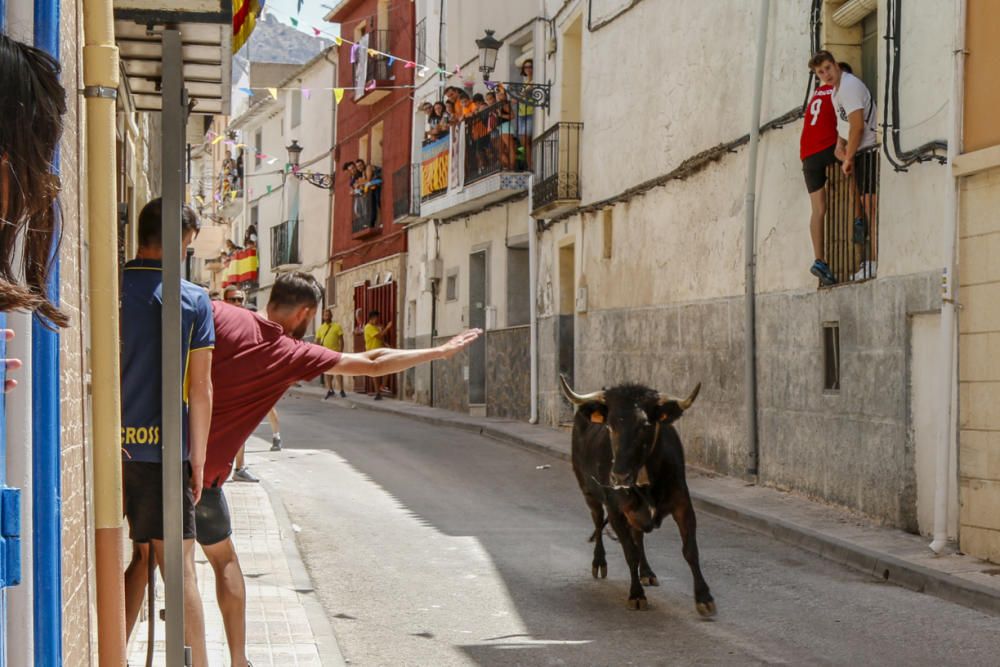 "Entrà de les Vaques" de Tibi