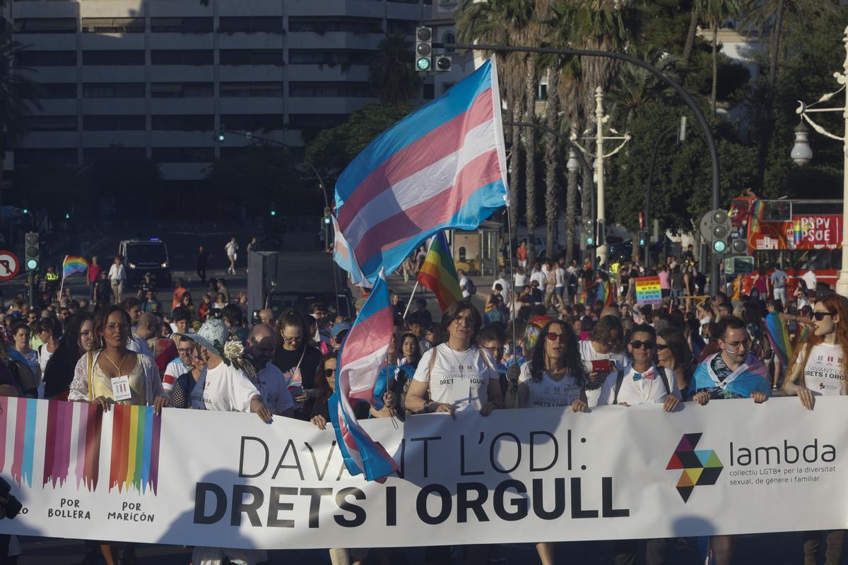 Ley trans | El odio en redes sociales se ceba con las personas trans