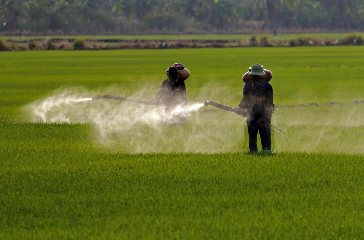 Aplicación de pesticidas en un campo agrícola