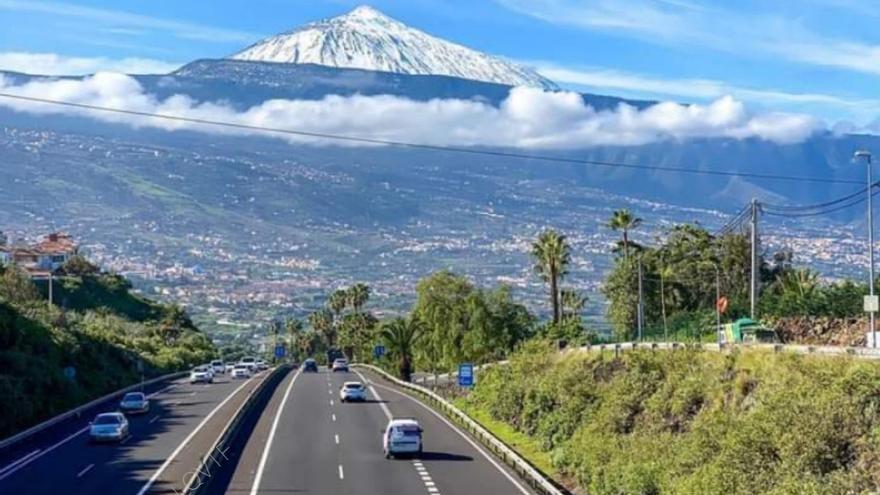 Parece Hawai o Los Ángeles, pero está en Tenerife: así es la autovía llena de palmeras que muchos consideran la más bonita del mundo