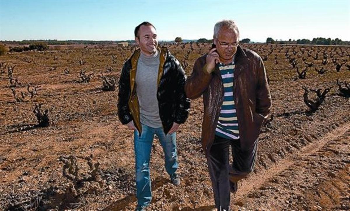 Andrés i el seu pare José Antonio passegen per les vinyes del seu celler. Andrés i el seu pare José Antonio passegen per les vinyes del seu celler.
