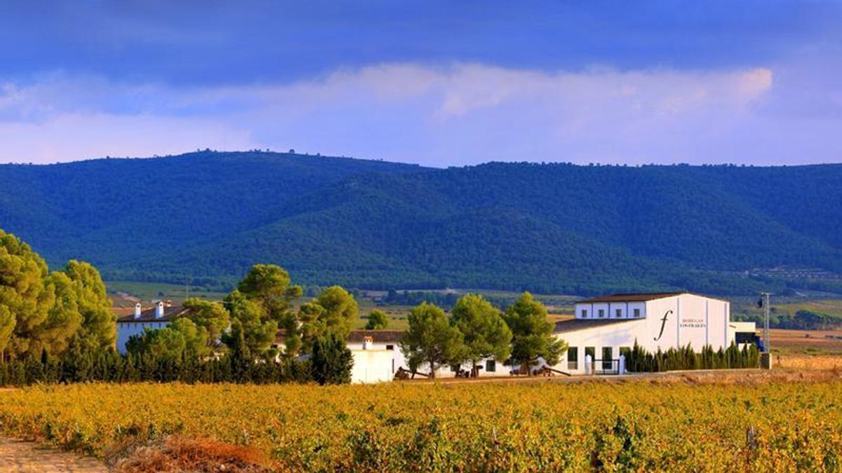 Tras el recorrido por el campo, la siguiente parada se encuentra en los antiguos lagares de hormigón.