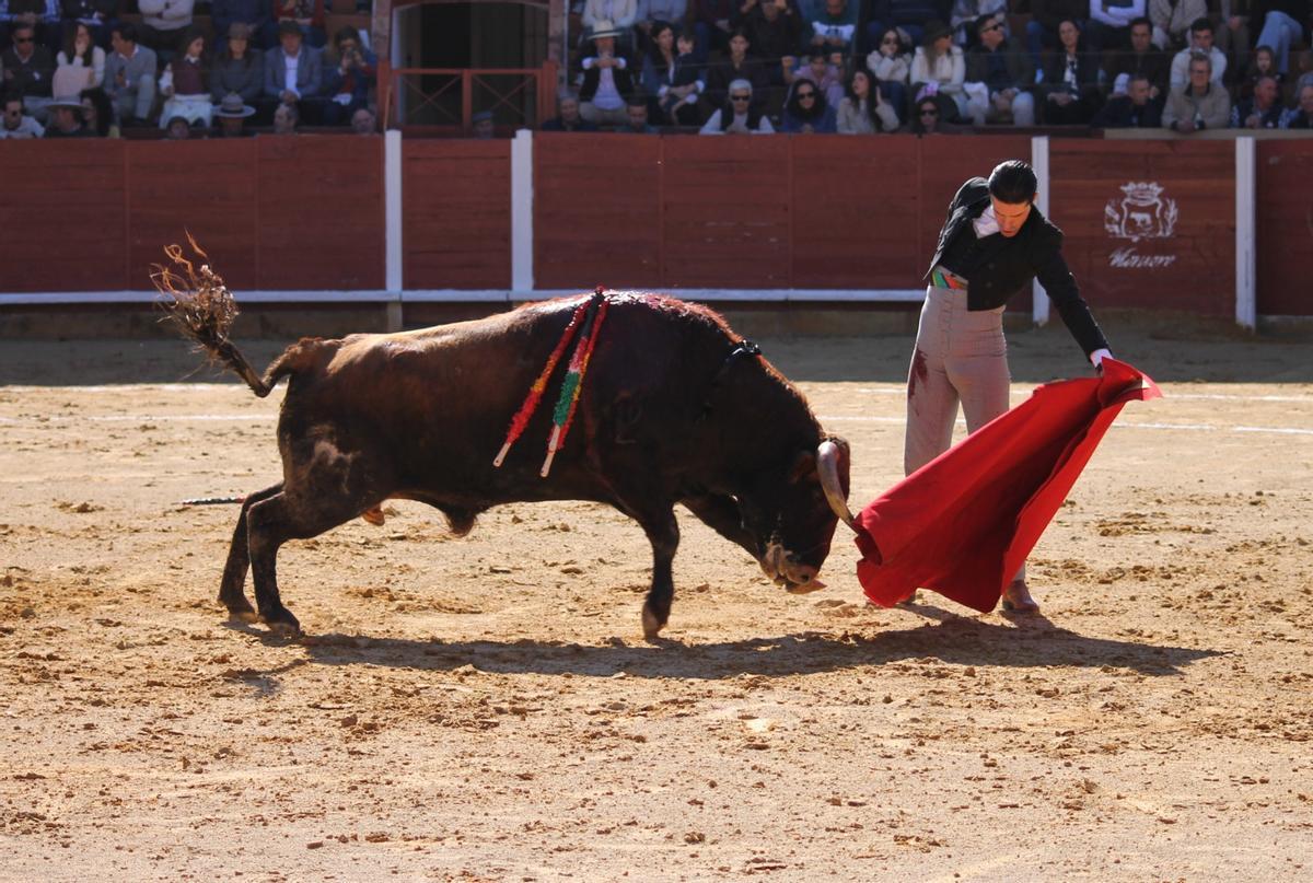 Alejandro Talavante, durante la corrida de hoy.