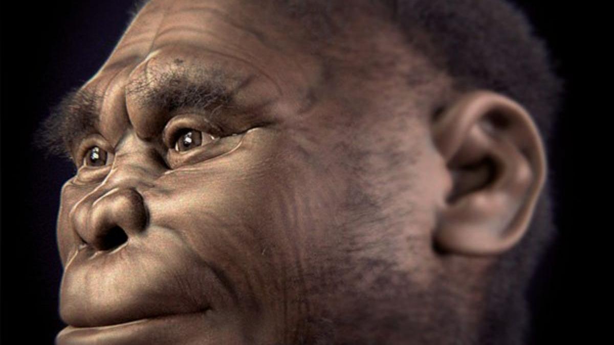 Reconstrucción facial forense de un individuo de la especie Homo floresiensis.