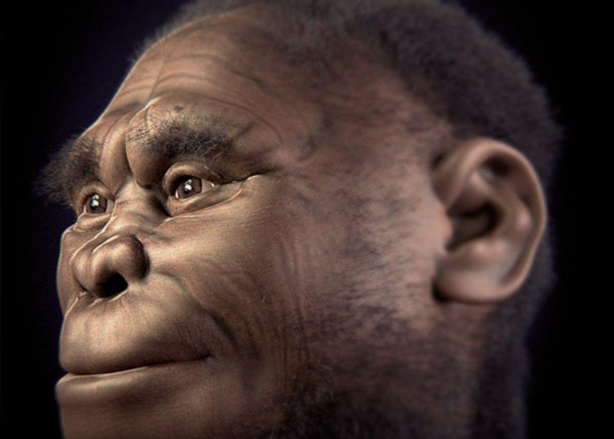 Reconstrucción facial forense de un individuo de la especie Homo floresiensis.