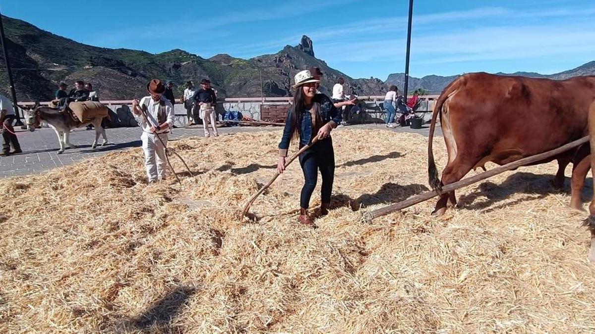 Fiestas del Almendro en Flor en Tejeda