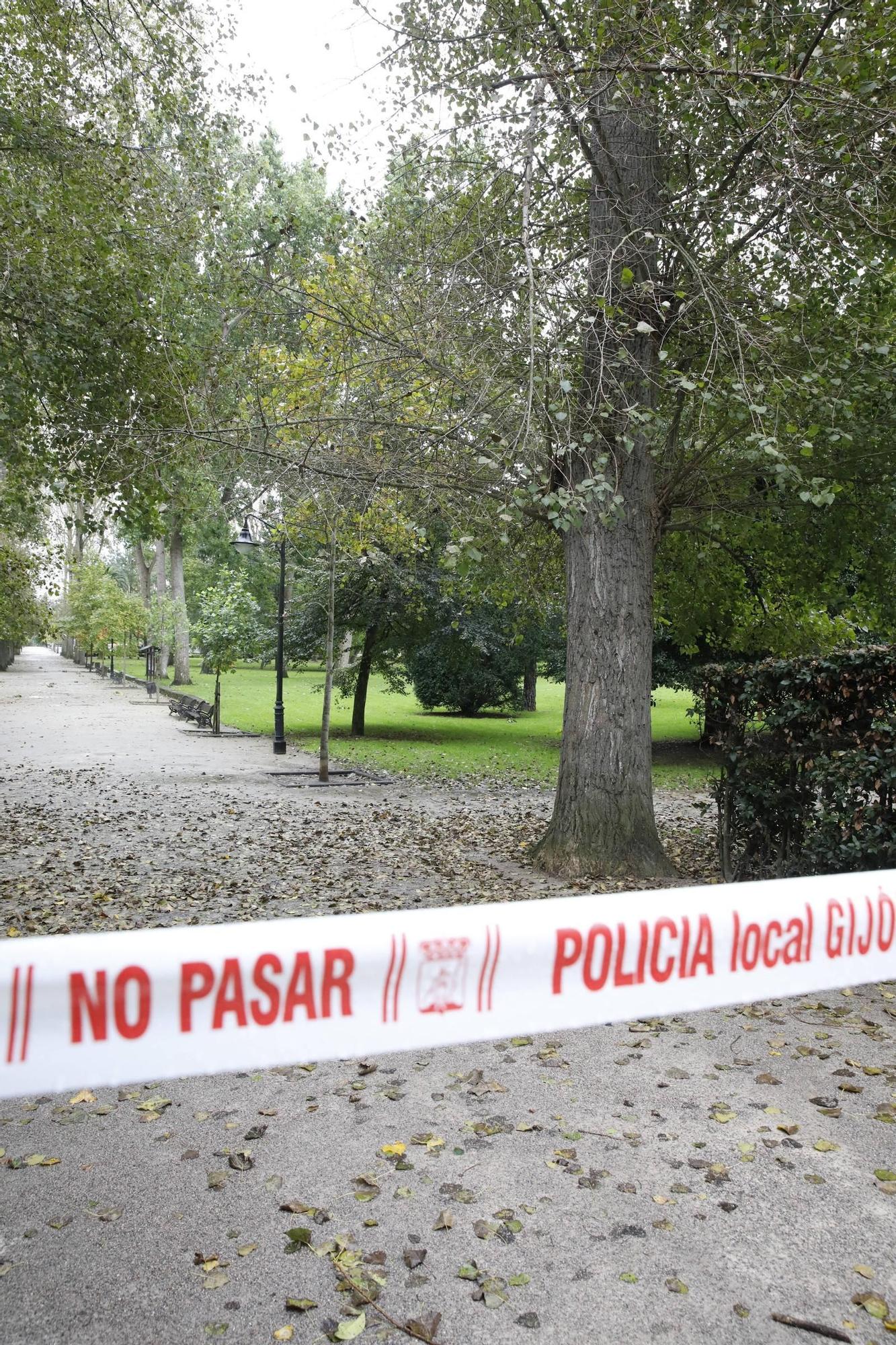 El azote de la borrasca "kirk" en Gijón, en imágenes