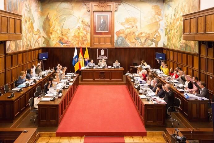 Pleno del Cabildo de Gran Canaria (30/06/2017)