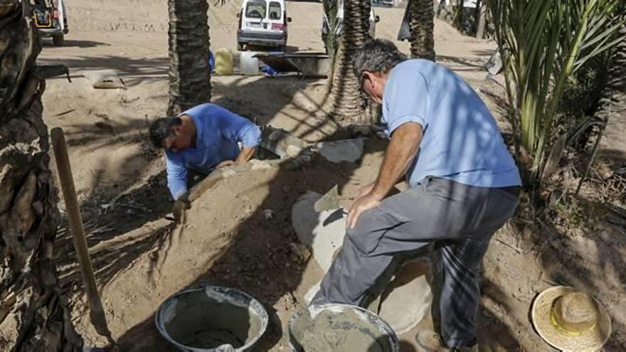 Empleados municipales del departamento de Mantenimiento trabajando en un huerto de palmeras de Elche.