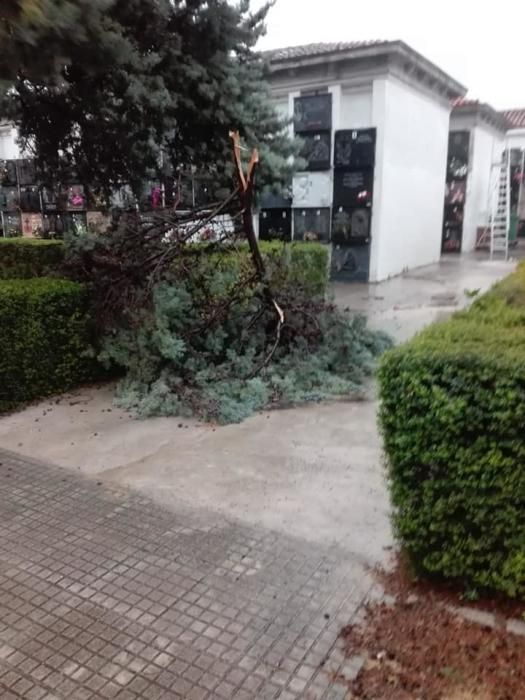 Efectos del temporal en la Safor