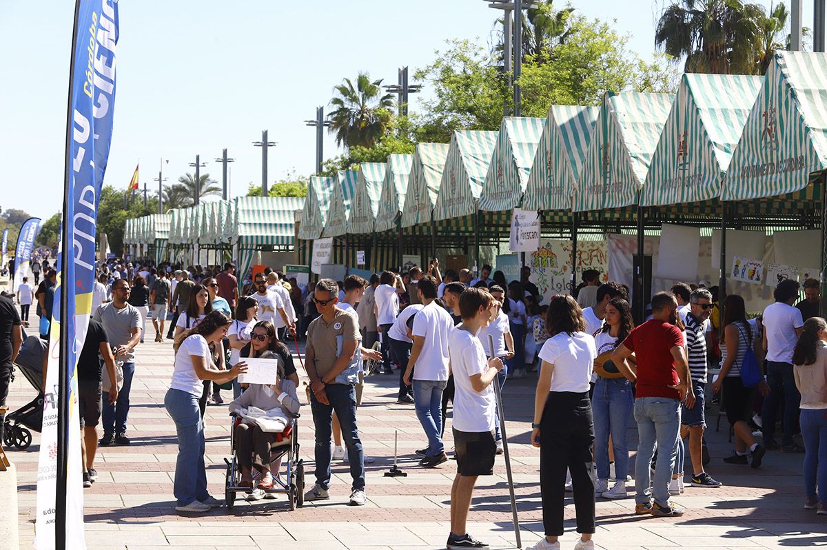 El Paseo de la Ciencia de Córdoba, en imágenes