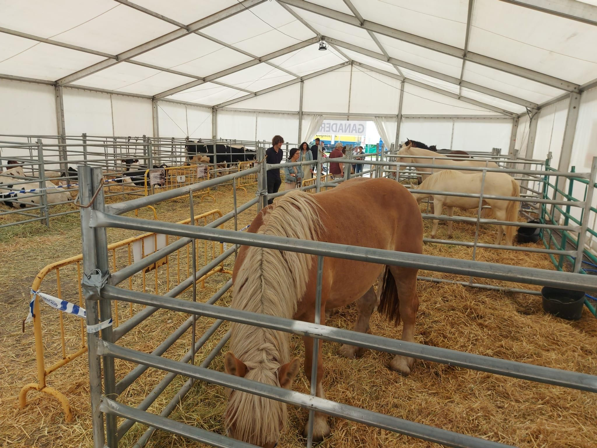 El público llenó la Feria de Vegadeo durante el fin de semana
