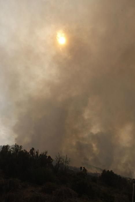 Incendio en los montes de León