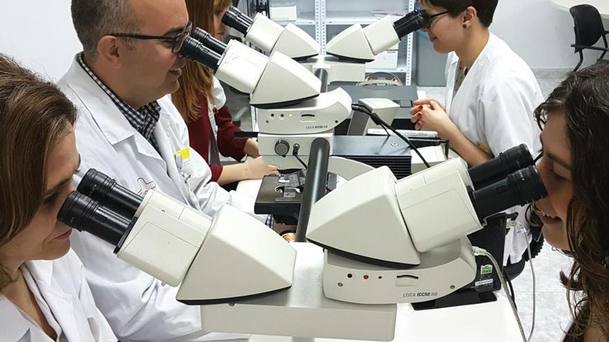 El jefe del Servicio de Anatomía Patológica (2ºizquierda), Enrique Martínez Barba, junto a parte de su equipo de la Arrixaca.