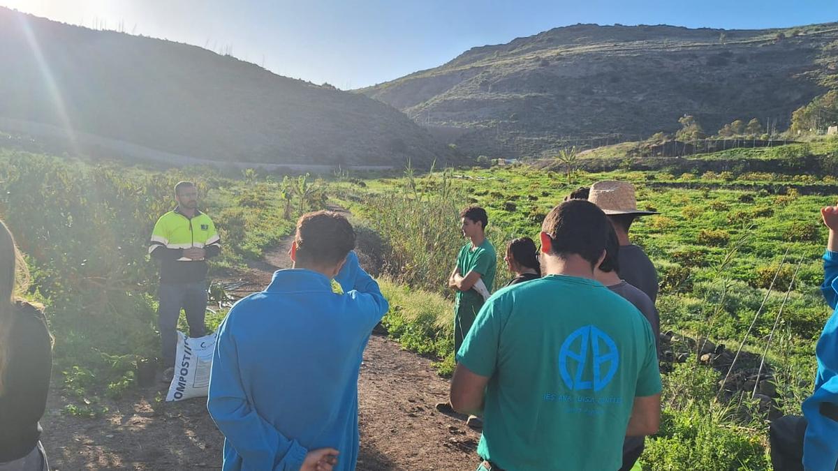 Aday Sosa explica cómo Ayagaures Medio Ambiente convierte residuos como la gallinaza en compost, clave para una agricultura más sostenible