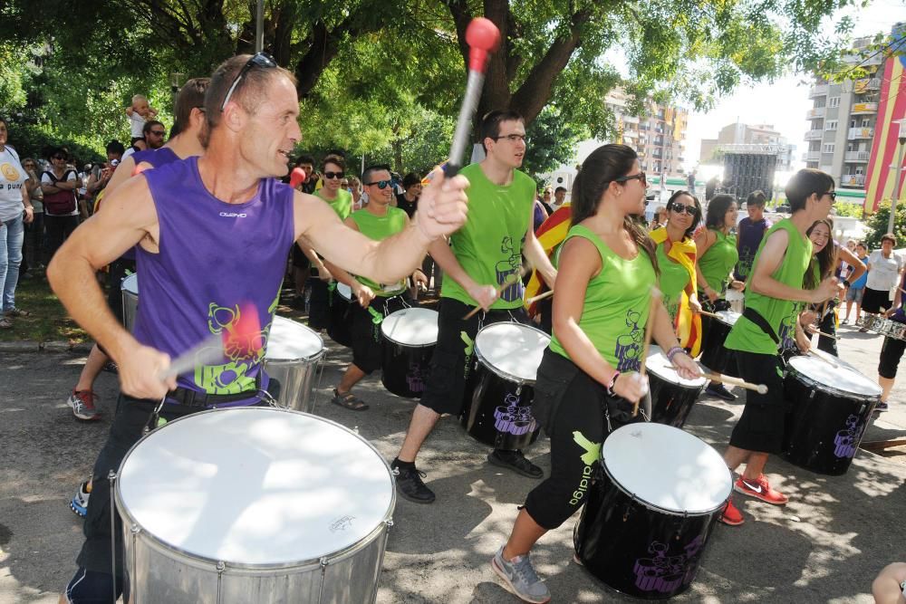 Macrogaleria de la Diada a Berga